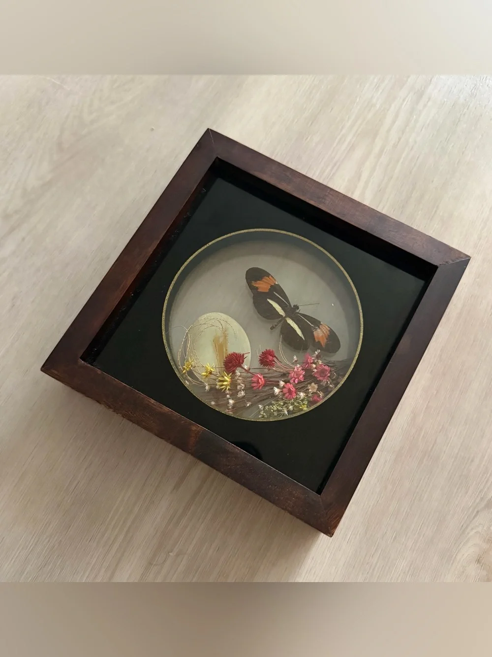 Vintage Taxidermy Butterfly / Dried Flowers Shadow Box Brazil Oddities Handmade